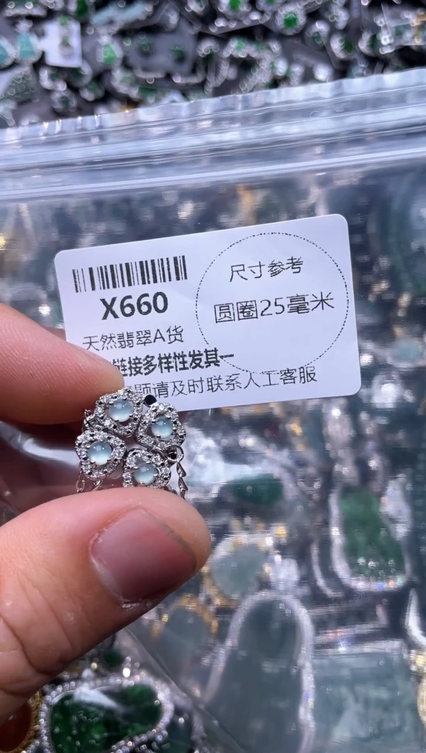 【闪购商品】翡翠颈饰未镶嵌X660项链