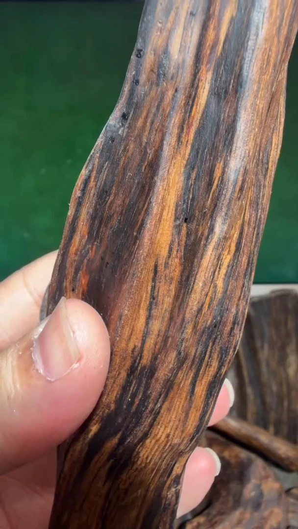 沉香吊坠芽庄多样性发一