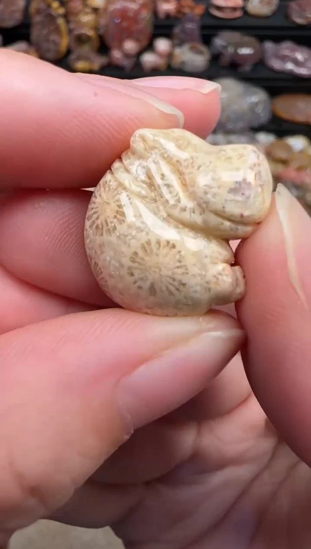 颈饰未镶嵌硅化珊瑚（珊瑚玉）319