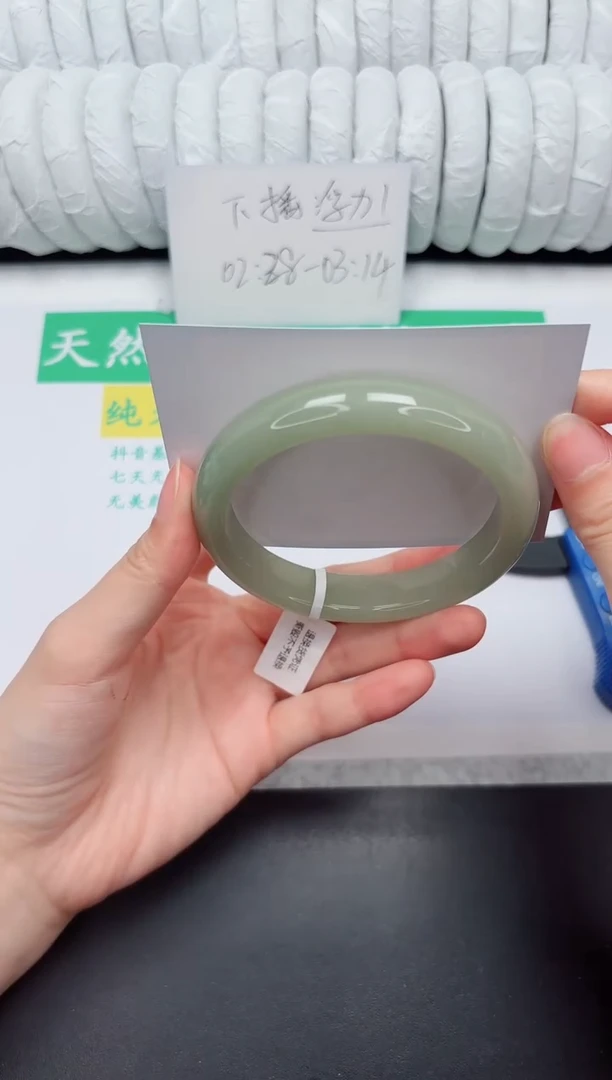 未镶嵌手镯石英质玉206-60.3D