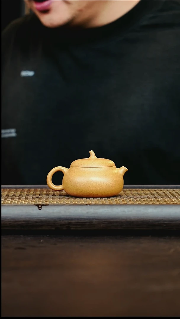 茶壶紫砂宜兴紫砂壶     16