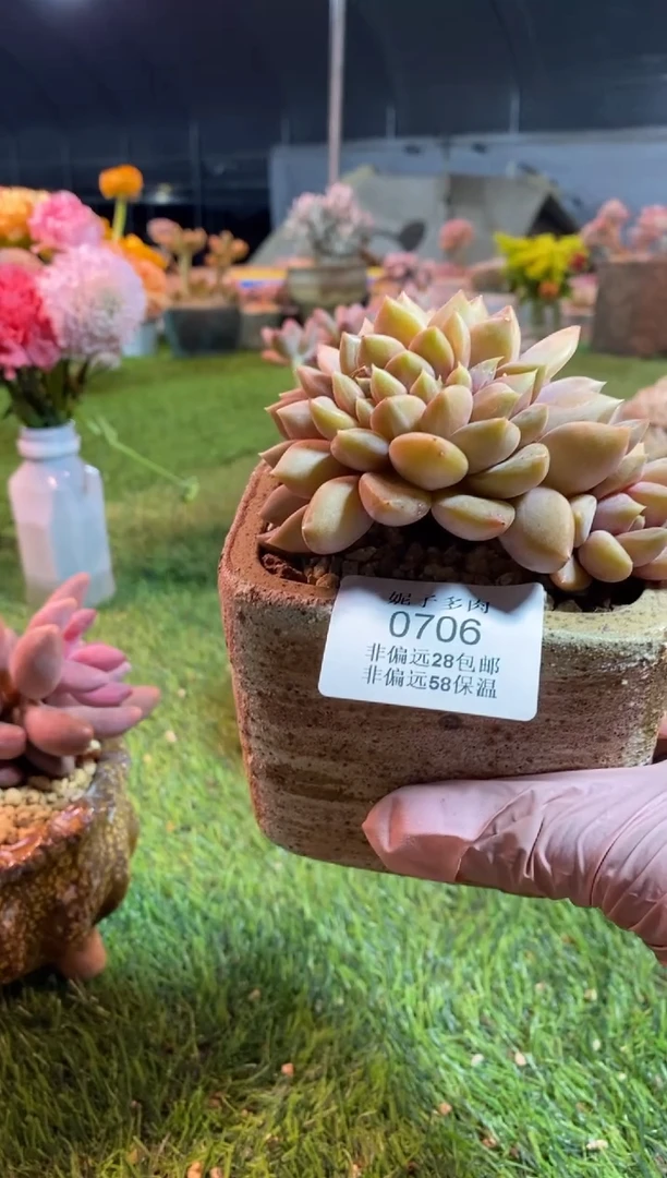 【闪购商品】0706a