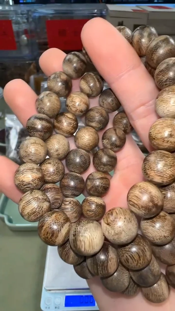 越南芽庄都蓬11mm单圈多样性发其一