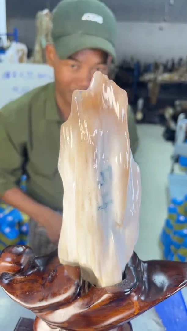 未镶嵌摆件硅化玉19