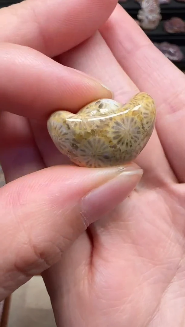 颈饰未镶嵌硅化珊瑚（珊瑚玉）663