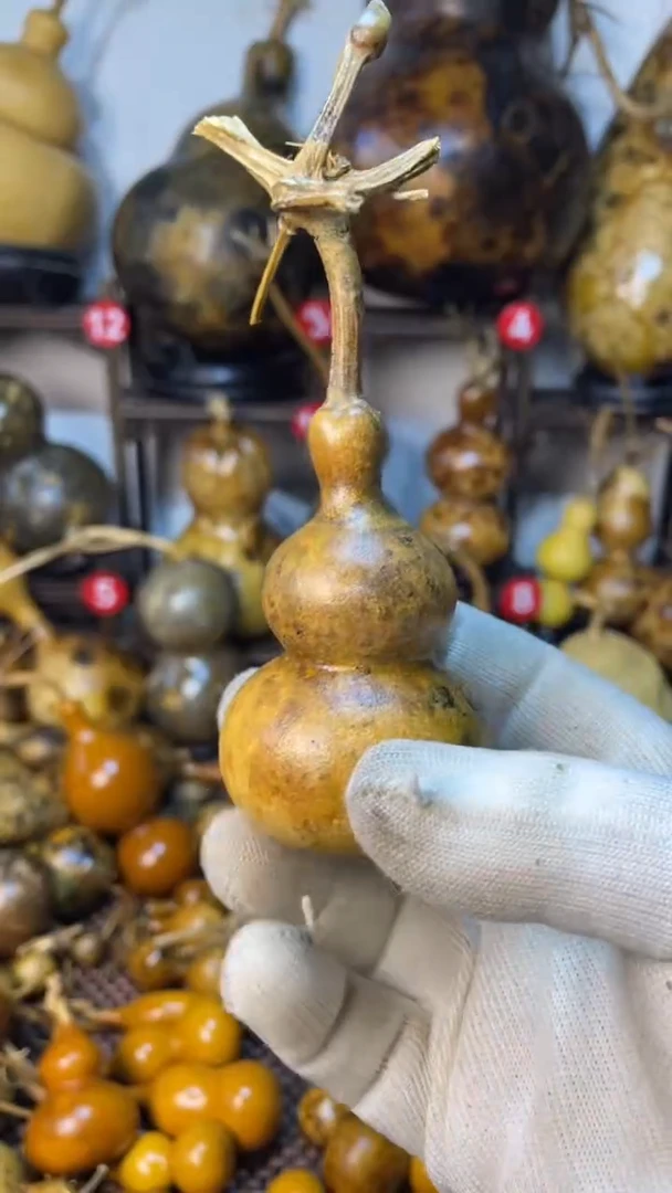 【闪购商品】葫芦葫芦葫芦葫芦葫芦