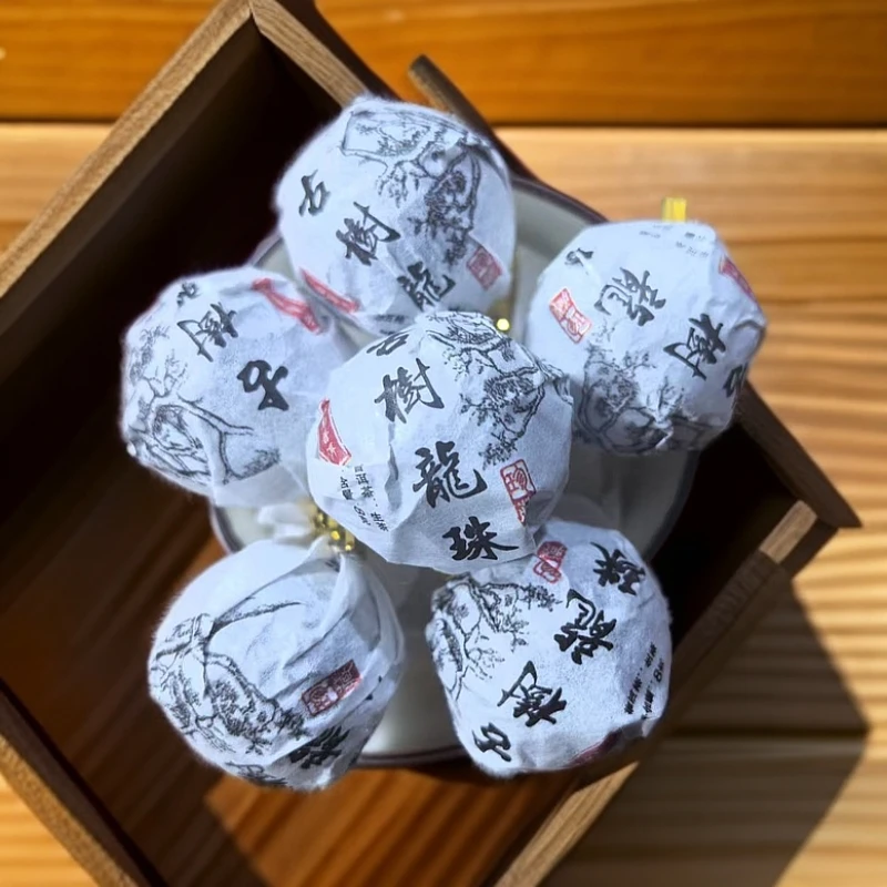 大雪山古树龙珠—2024