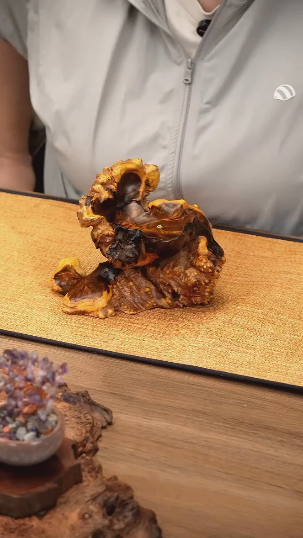 7号云小屋麻梨香插