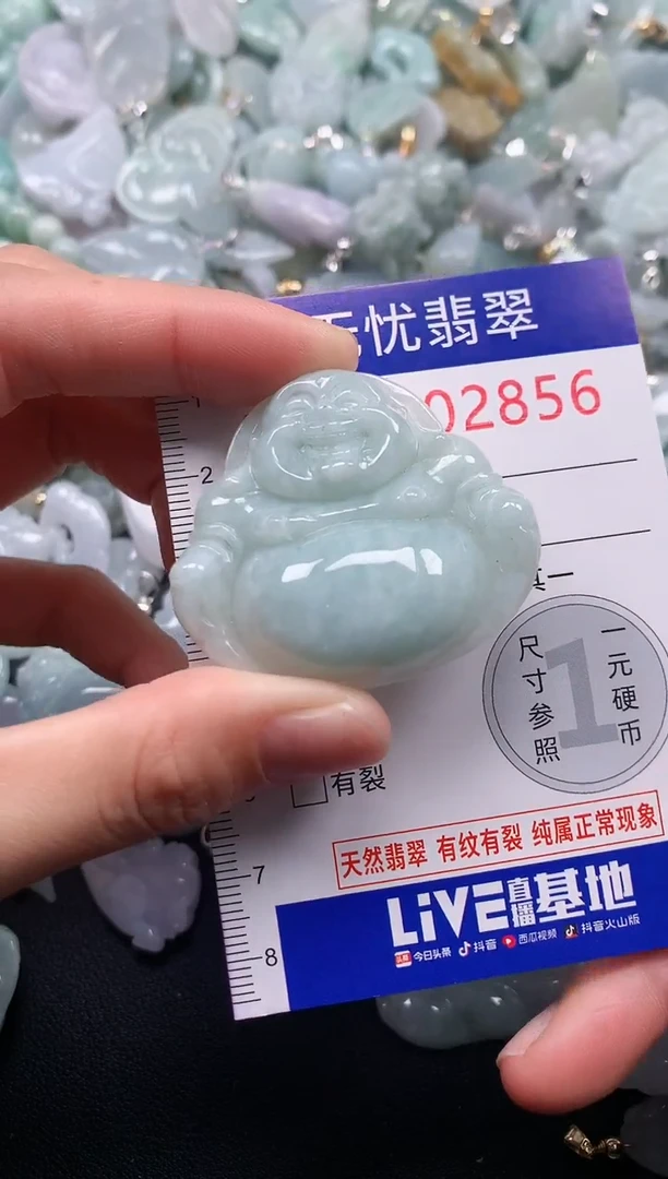 颈饰未镶嵌翡翠2856