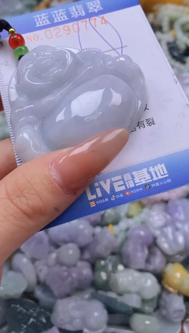 翡翠未镶嵌颈饰闪购0290774