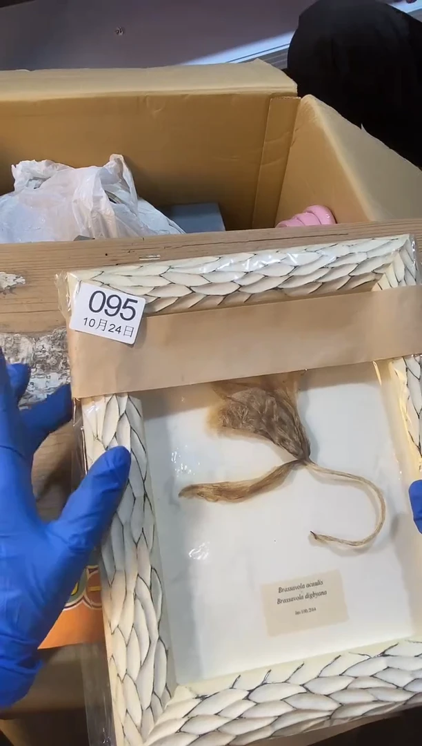 11111111111111幽**心11111111111111