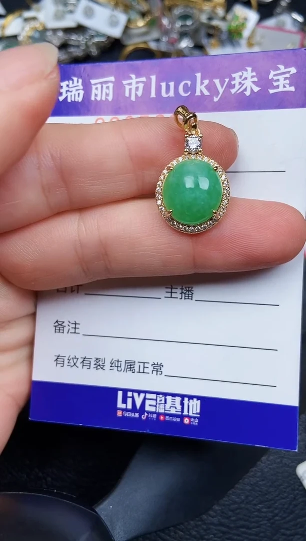 翡翠银S925镶嵌颈饰5295