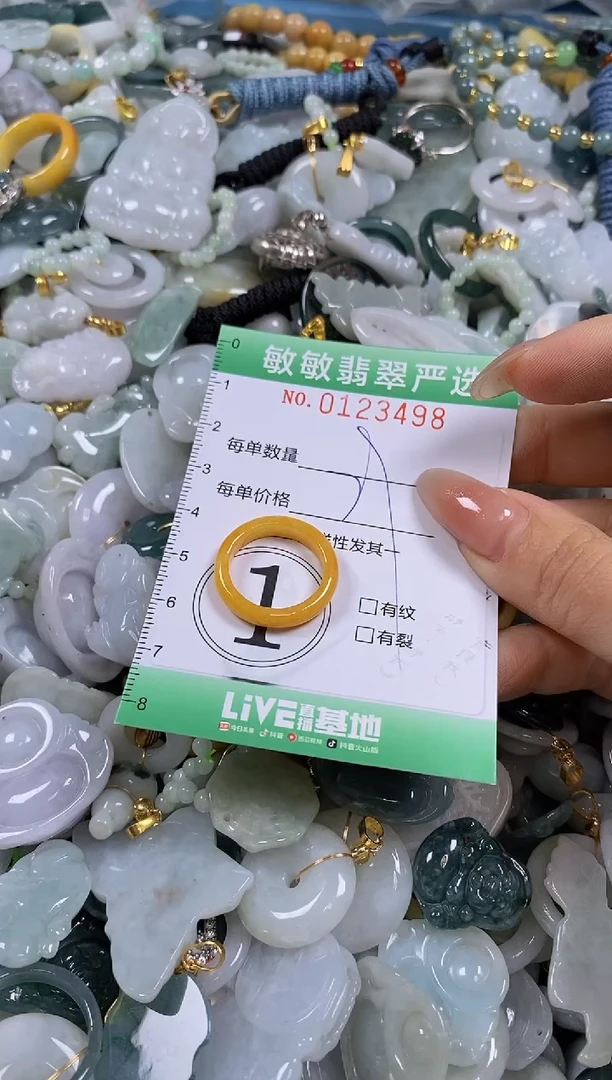 【闪购商品】翡翠颈饰未镶嵌闪购0123499