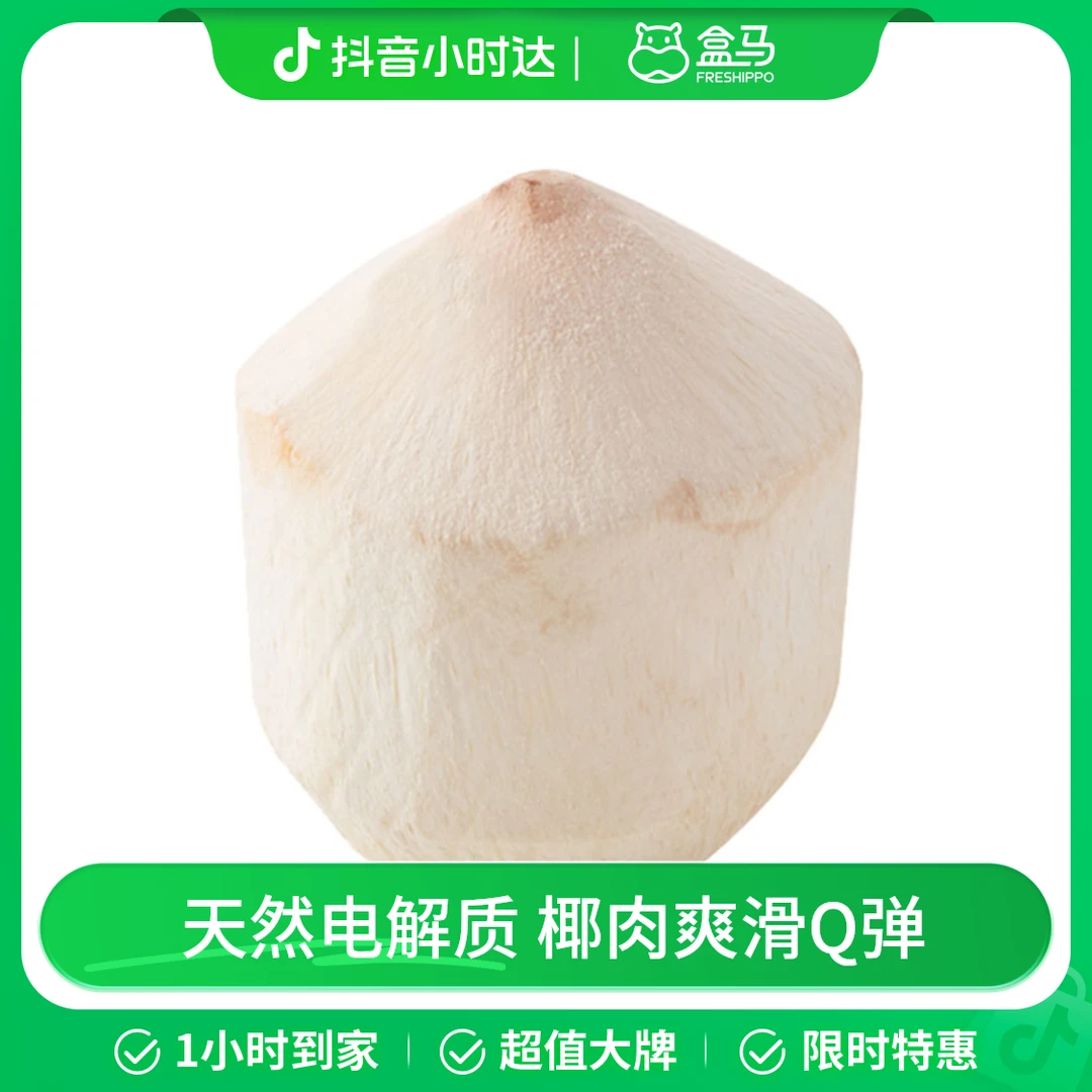 泰国椰青1粒装( 单果900g+)未开口