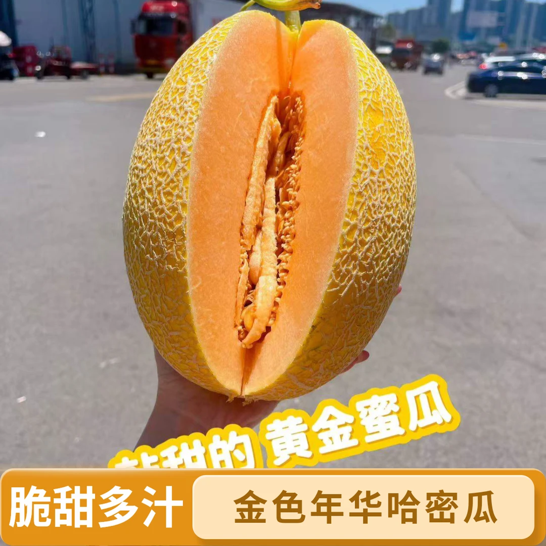【韩美丽专属】新疆金色年华黄皮蜜瓜 脆甜多汁 瓜香浓郁