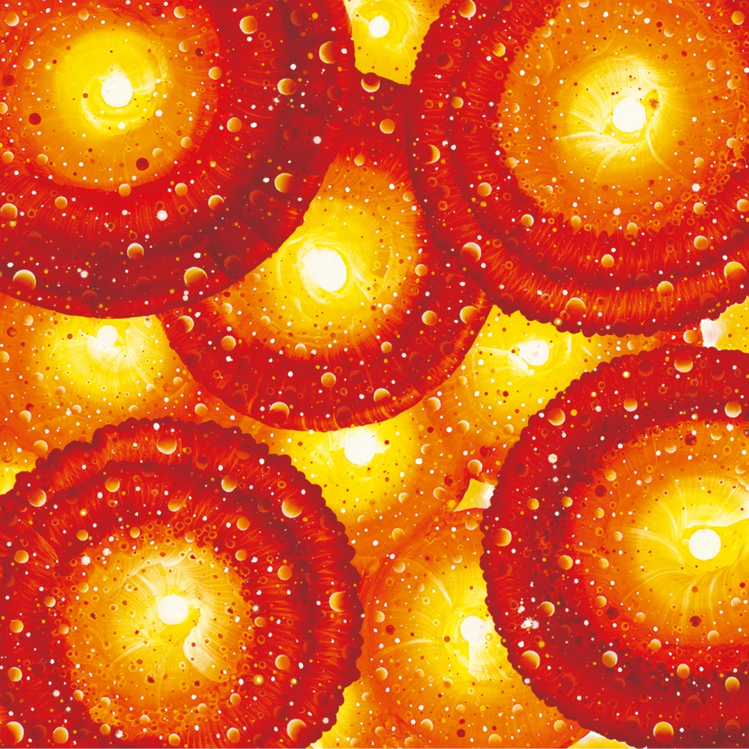 走进艺术，感受星宇魅力 袁德华老师【星宇系列】客厅书房装饰画