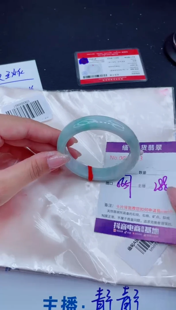 未镶嵌手镯翡翠288
