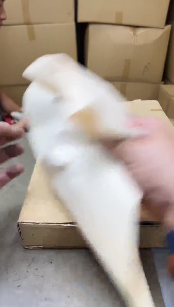 瓷片973聚宝缘海淘精选