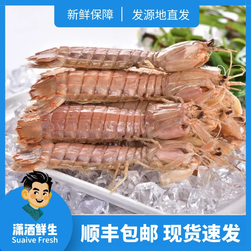 【源头直发】皮皮虾