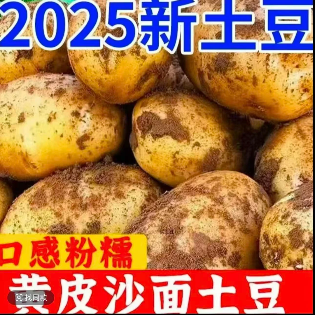 A云南黄皮黄心土豆粉面沙糯新鲜蔬菜马铃薯