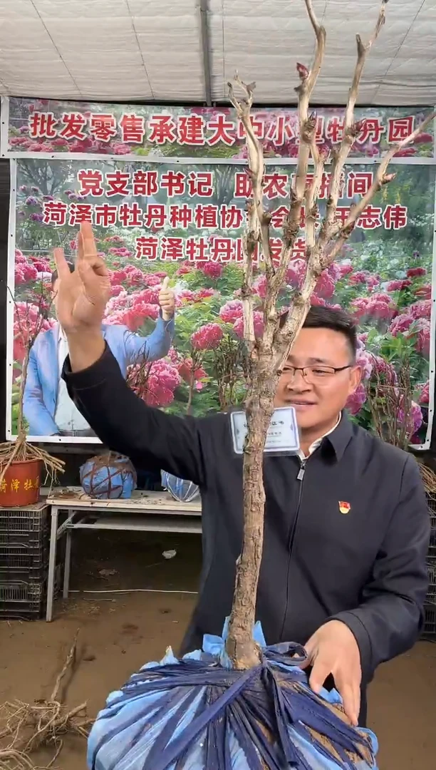 闪购一物一拍  花王16