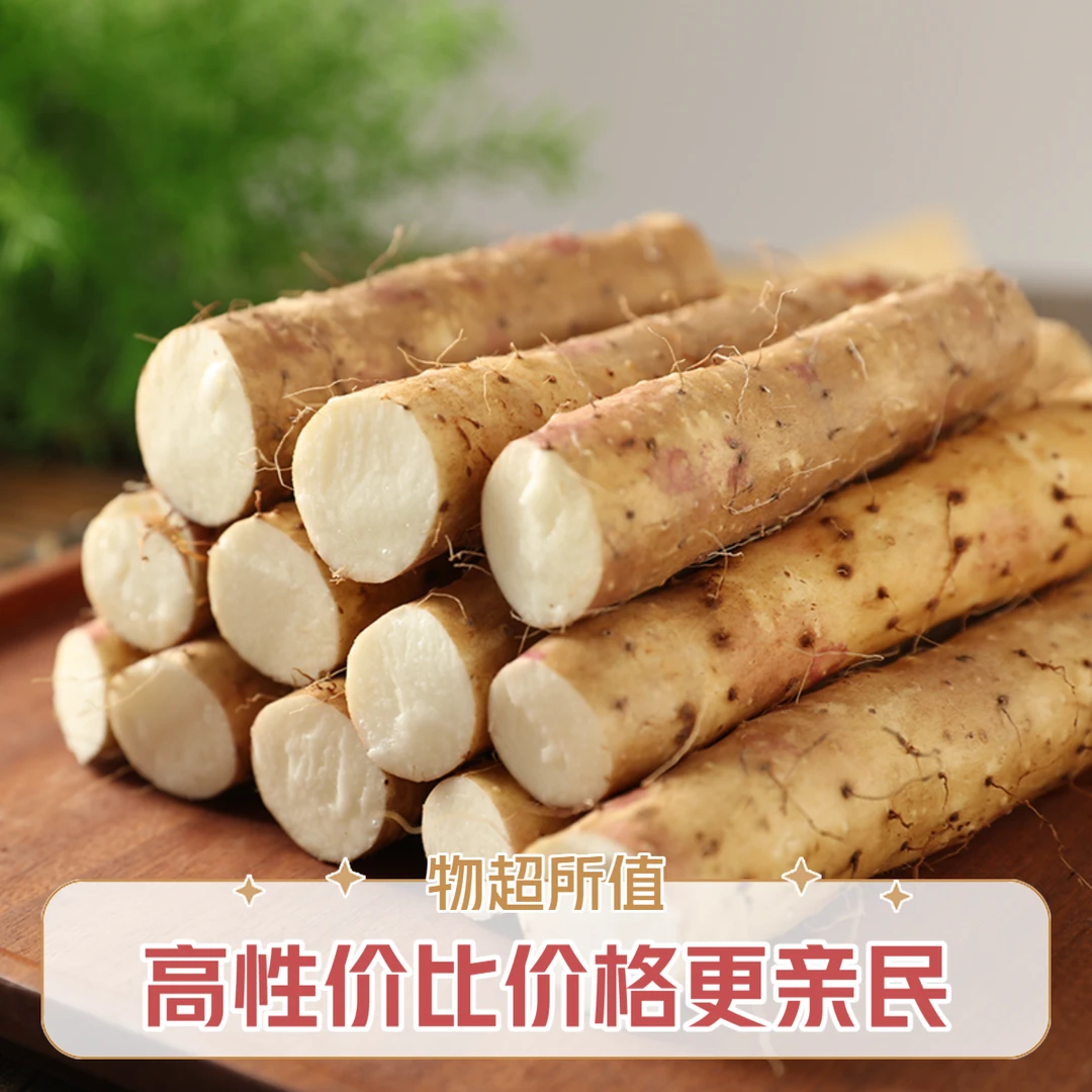 铁棍山药新鲜带土发货40-60cm【特惠五斤装】营养多元 滋补佳品