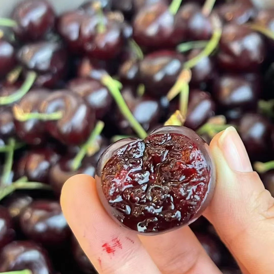 【5斤原箱】2-4J黑车 智利进口桑提娜海运车厘子内附果径卡顺丰