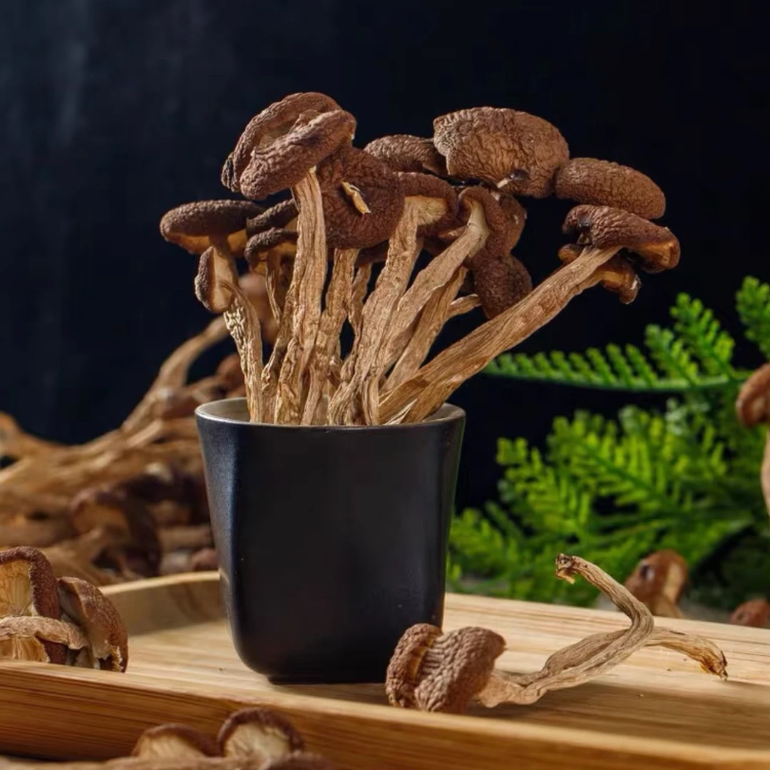 特级精选散装茶树菇