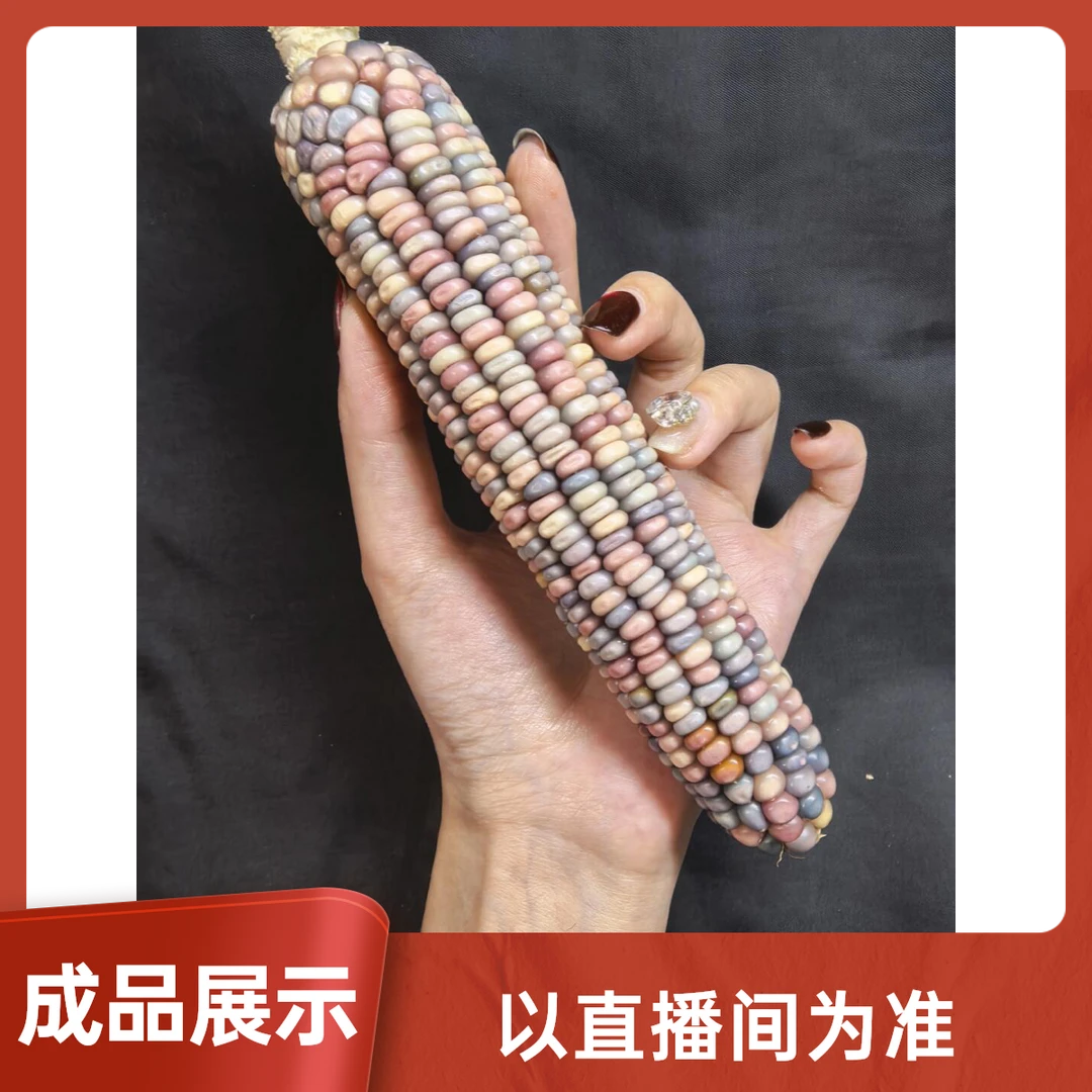 30链接 直播间专拍玉米手把件文玩饰品 毛料 一物一拍