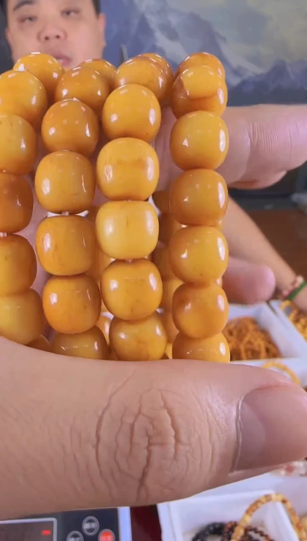 孟加拉五哥11*10老型单圈