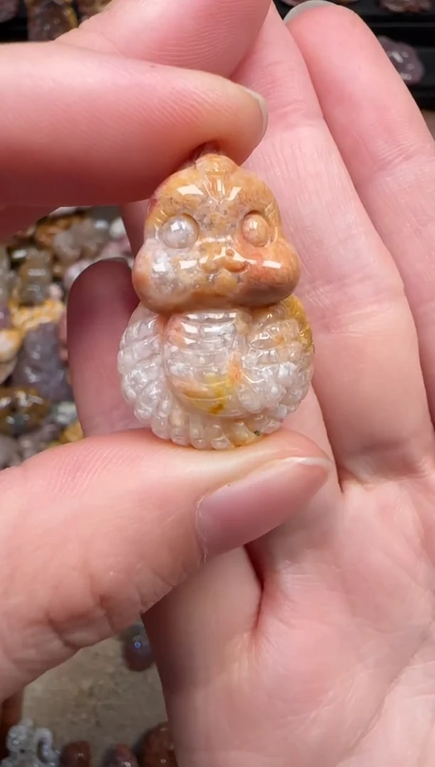 颈饰未镶嵌硅化珊瑚（珊瑚玉）566