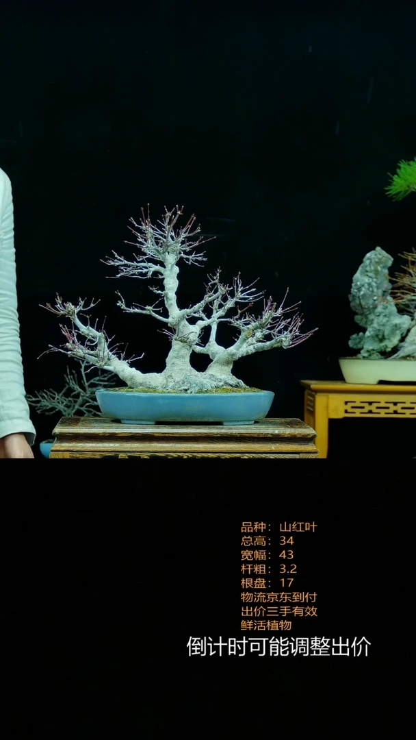 【闪购商品】00000