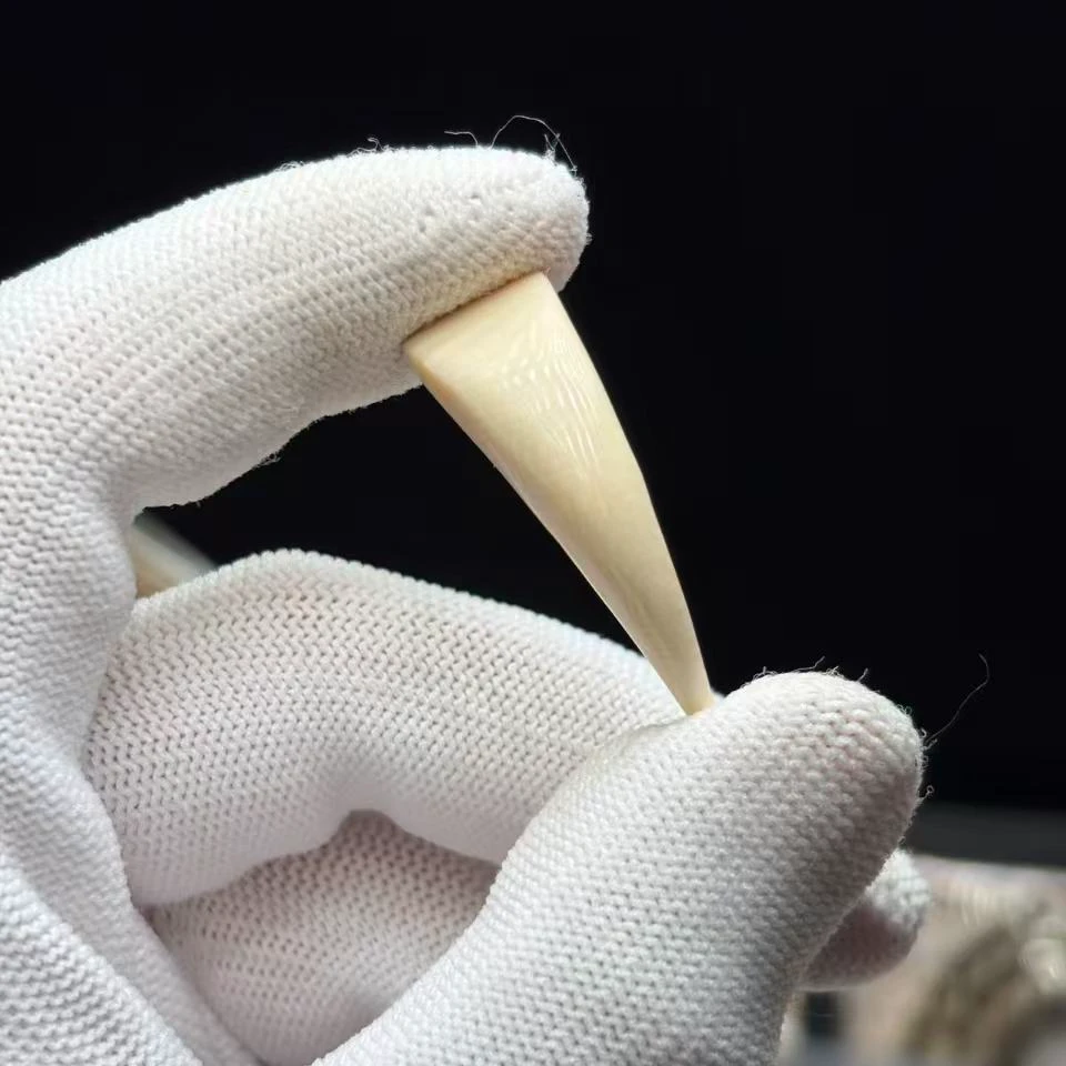 丰骨「猛犸象牙·牙尖」Y1516 35*11mm 材质保真 假一罚四