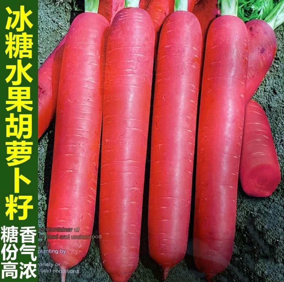 【满五包包邮】（满五送一）红胡萝卜种籽甜脆红胡萝卜种子