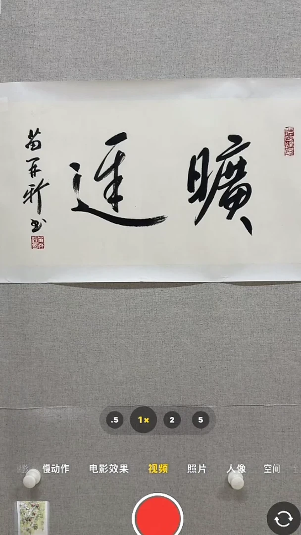 【闪购商品】书法-绘画-苗再新-2平尺国画