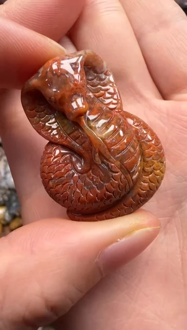 【闪购商品】硅化珊瑚（珊瑚玉）颈饰未镶嵌278