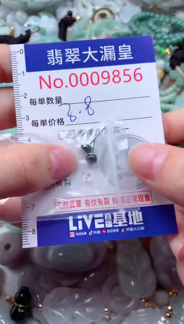 吊坠(不含链)未镶嵌翡翠9856