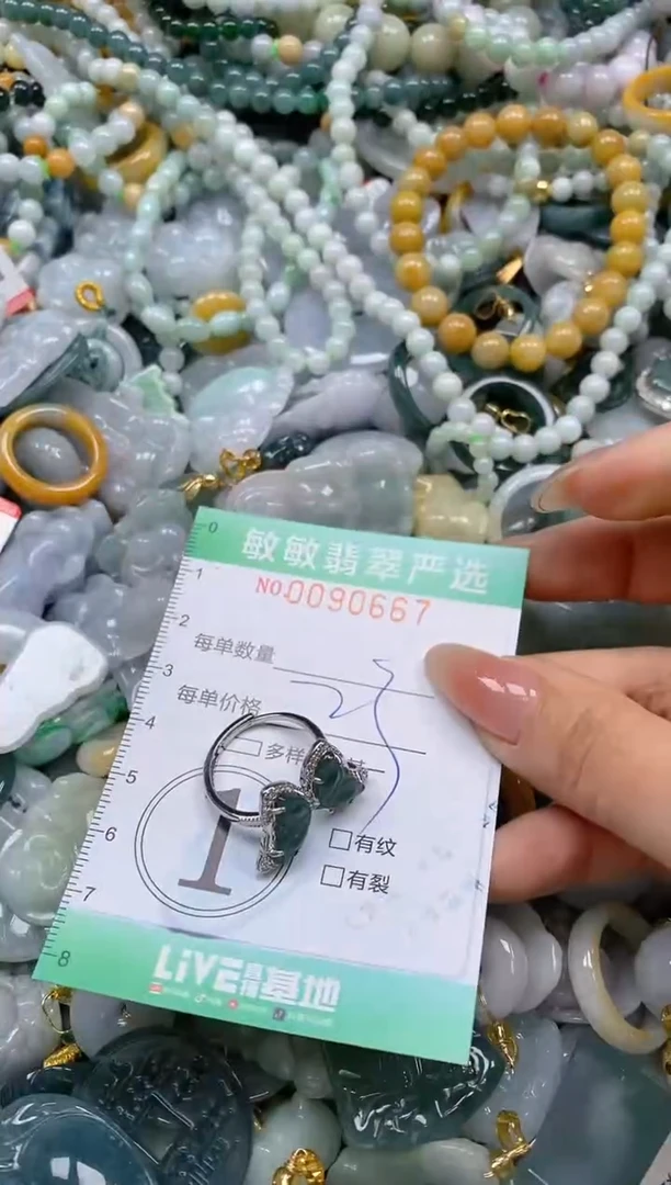 【闪购商品】翡翠颈饰未镶嵌闪购0090667