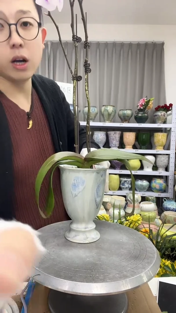 【12.10陶瓷花盆】  高度 17   口径     10.5