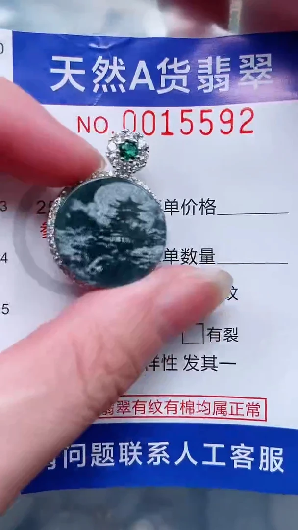 翡翠未镶嵌吊坠(赠链)1