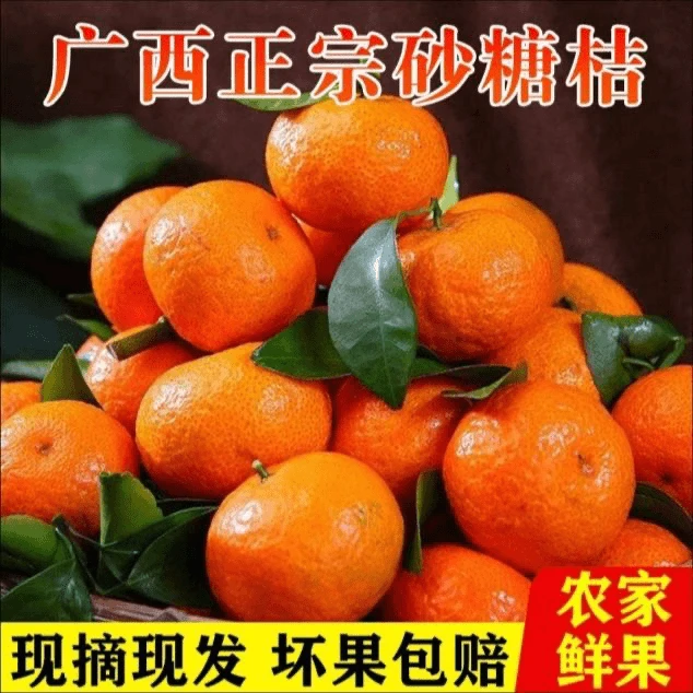 【沙糖桔】广西新鲜现摘砂糖橘现摘现发