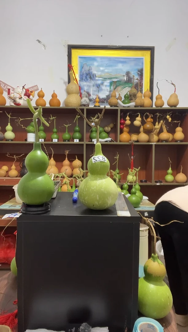 星***✨822天然葫芦摆件 一物一拍龙头不保售后