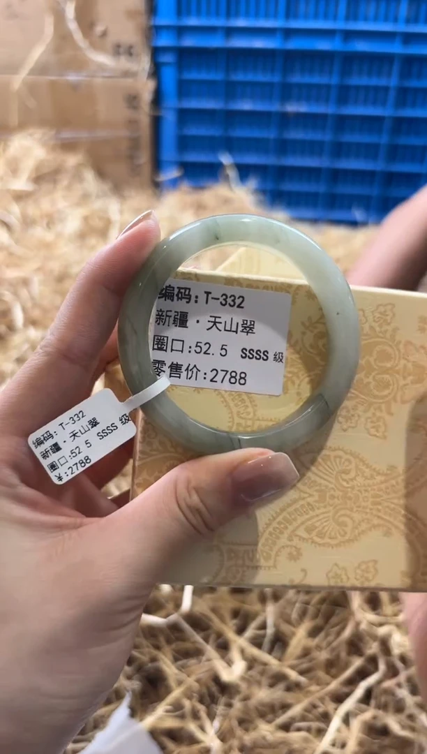 未镶嵌手镯石英质玉T-332