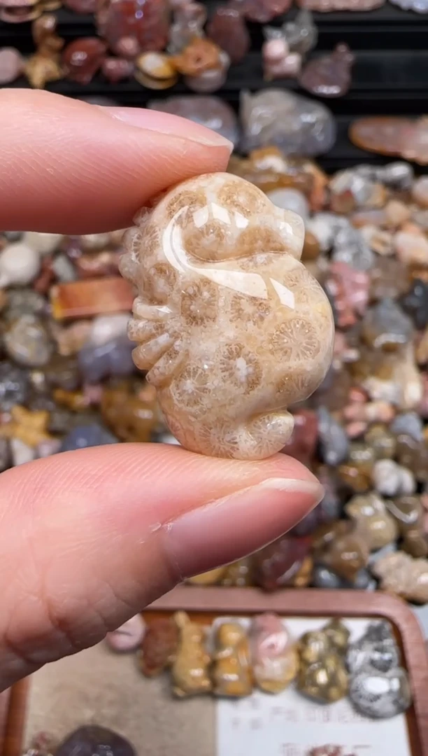 硅化珊瑚（珊瑚玉）未镶嵌颈饰329