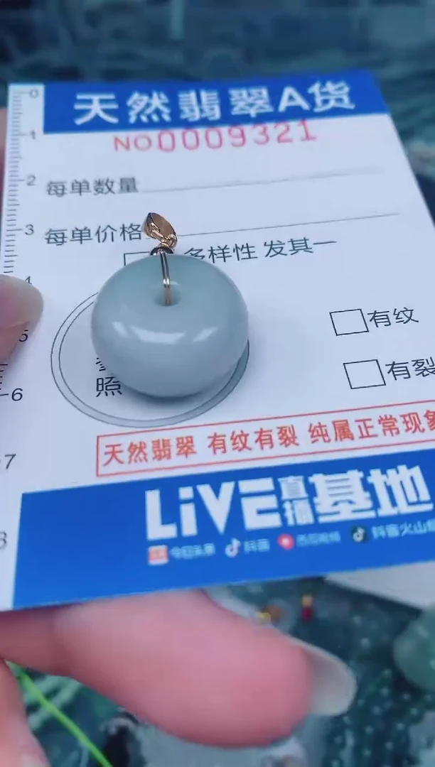 颈饰未镶嵌翡翠00009321