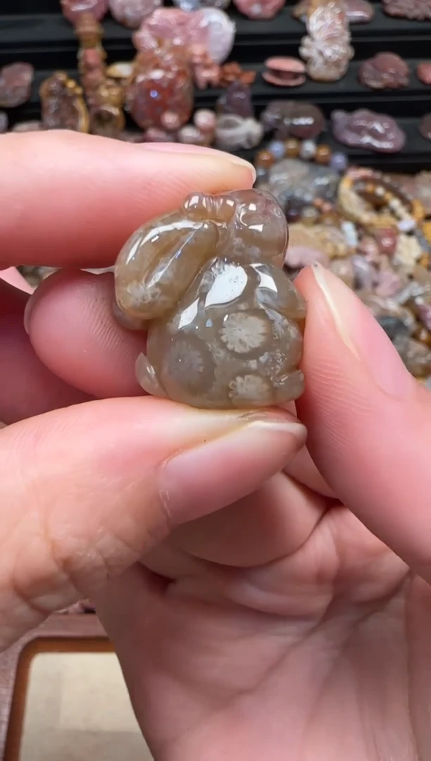 颈饰未镶嵌硅化珊瑚（珊瑚玉）282