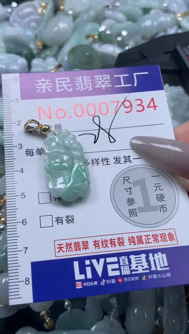 颈饰未镶嵌翡翠7934