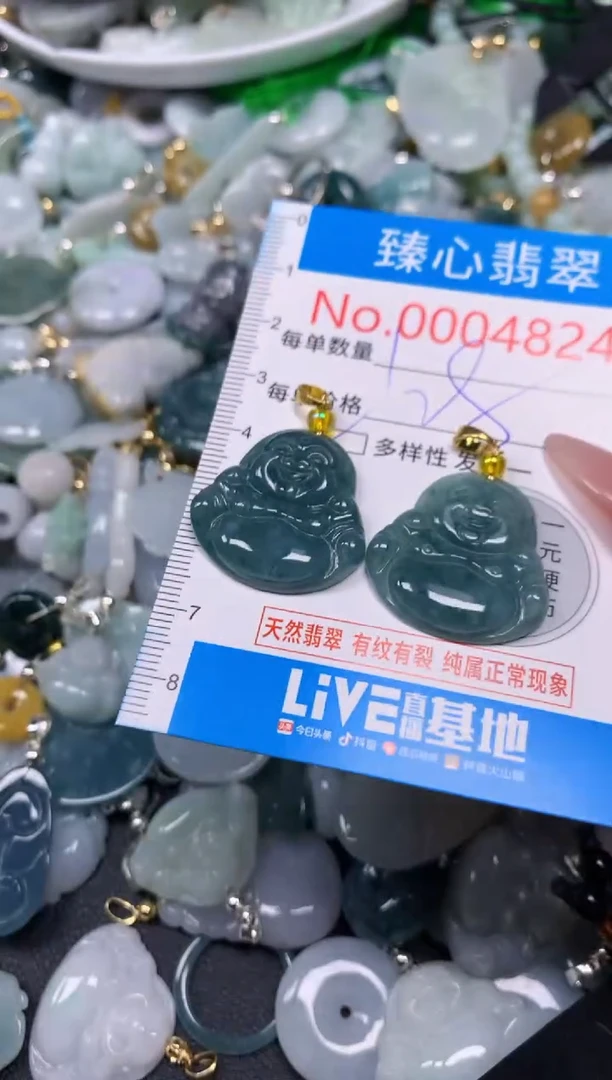 【闪购商品】翡翠颈饰未镶嵌含绳0004824