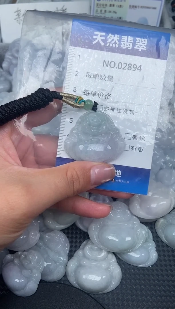 颈饰未镶嵌翡翠纯天然A货翡翠2894