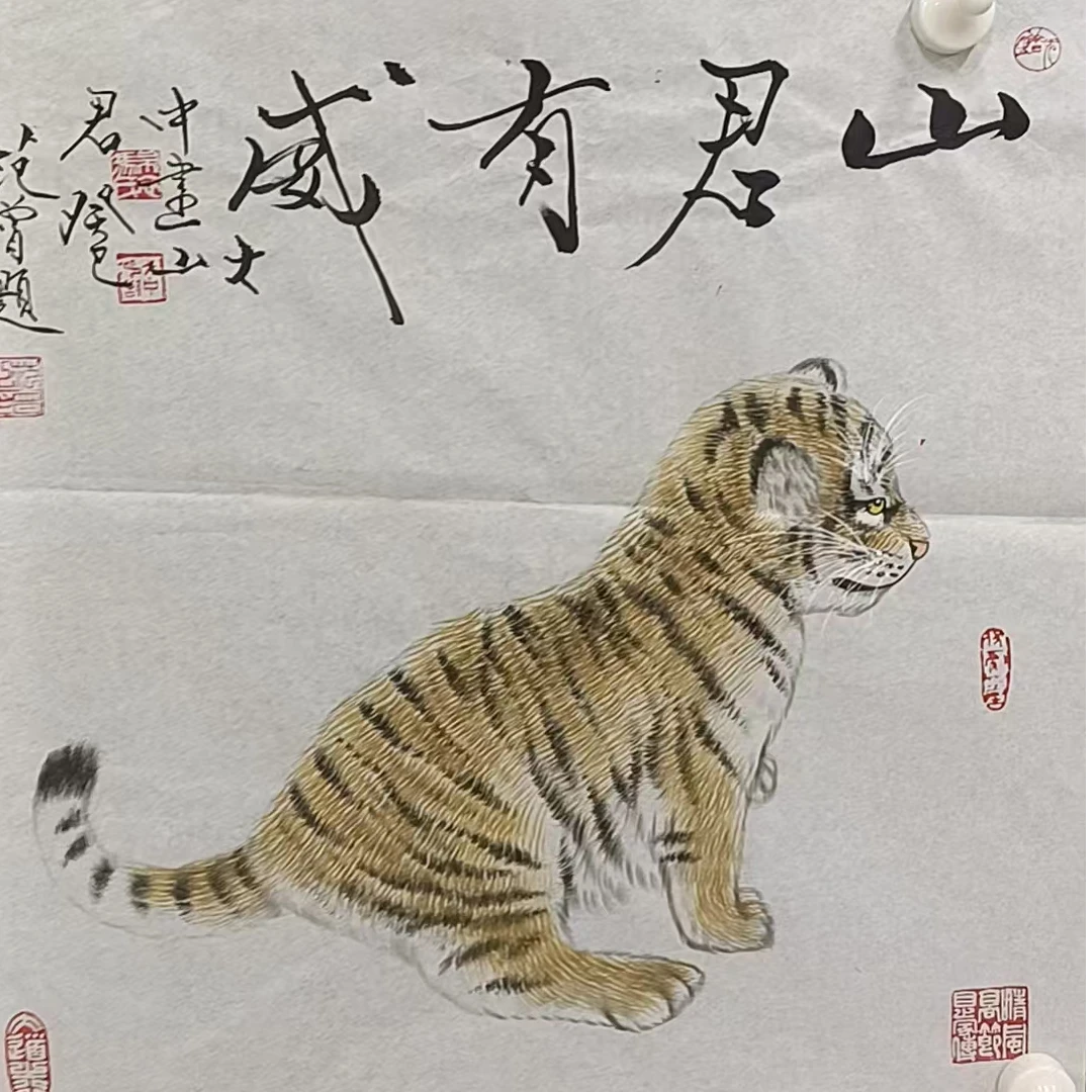 冯大中款小老虎画心46*46